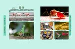 初中生物知识展板图片