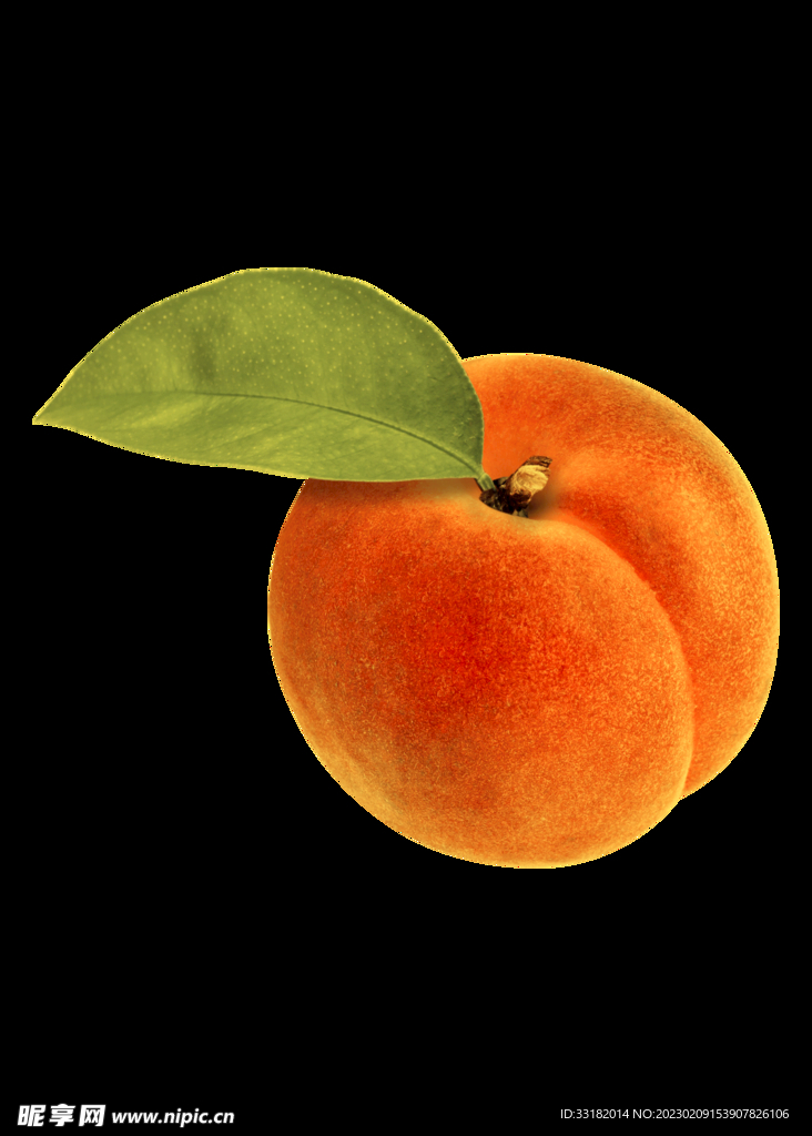 桃子