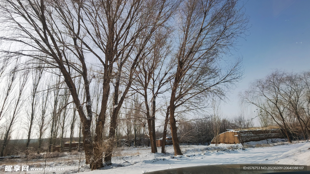 农村户外雪景