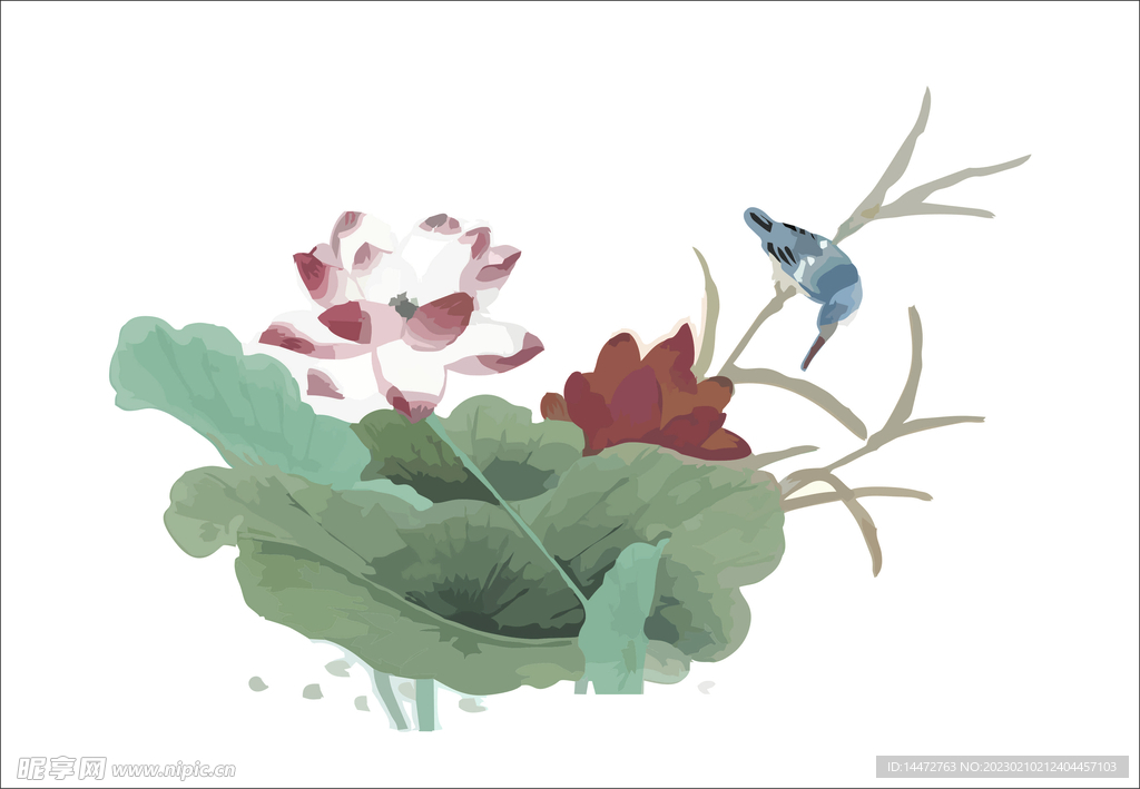 荷花