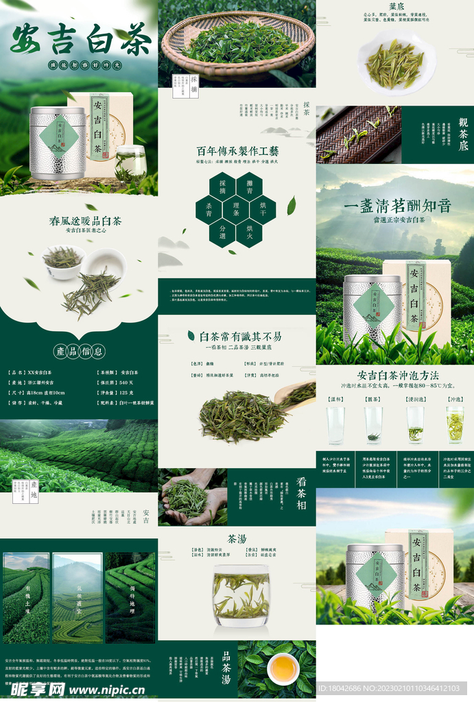 白茶茶叶详情