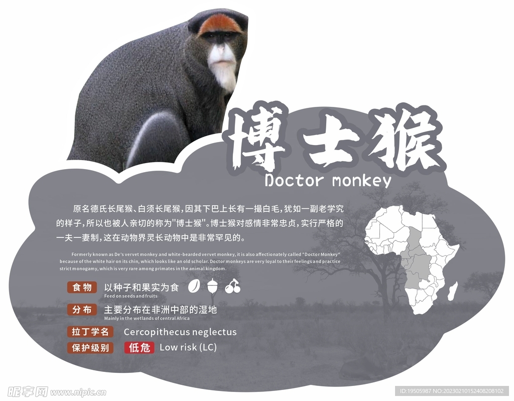 动物园广告牌博士猴