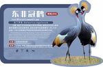 动物园广告牌东非冠鹤