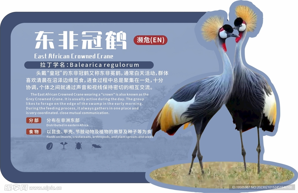动物园广告牌东非冠鹤