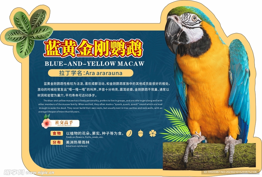 动物园广告牌蓝黄金刚鹦鹉