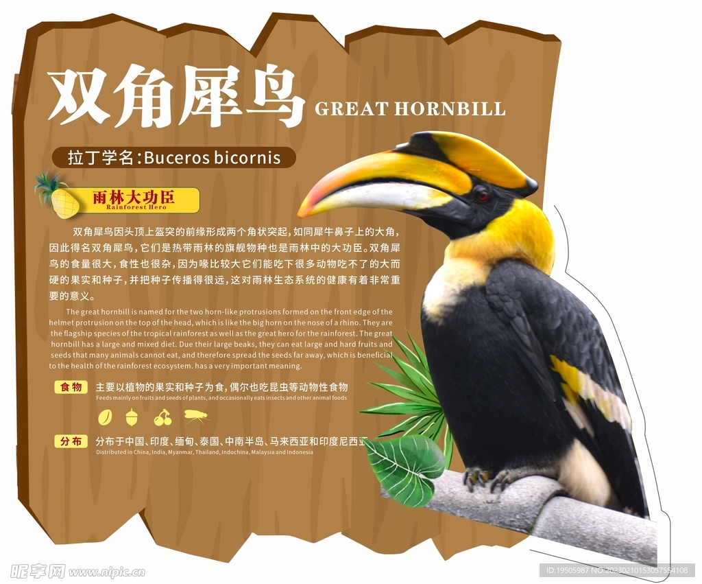 动物园广告牌双角犀鸟鹦鹉