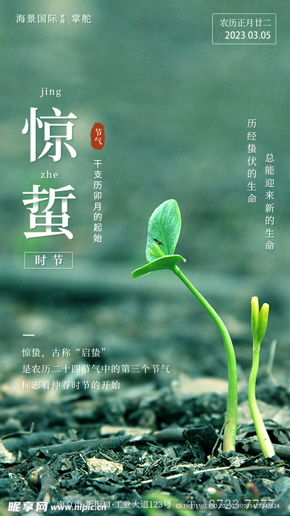 惊蛰海报
