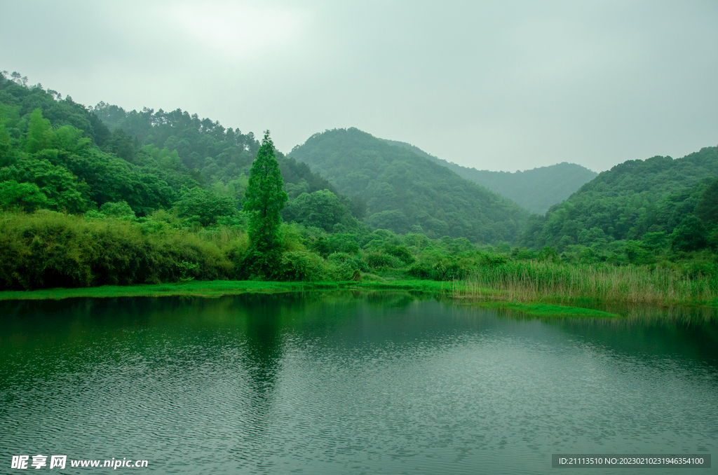 青山绿水