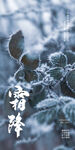 霜降 24节气 叶子 寒霜