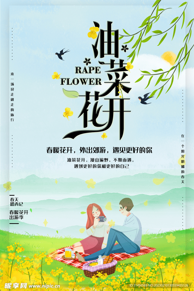 油菜花开
