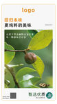 山茶油 