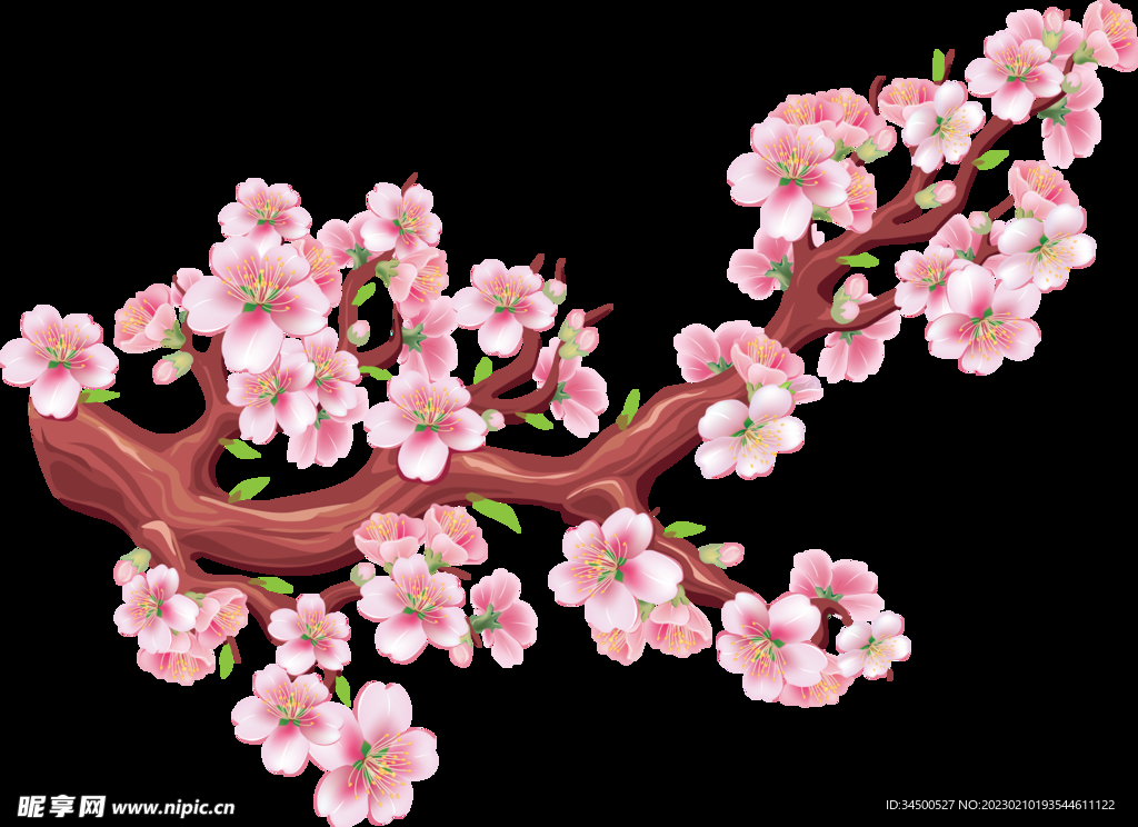 樱花
