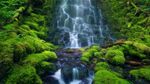 山水