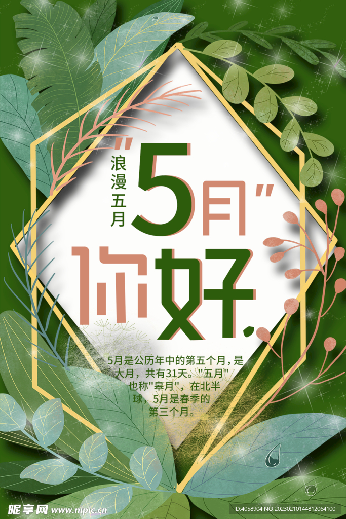 5月你好