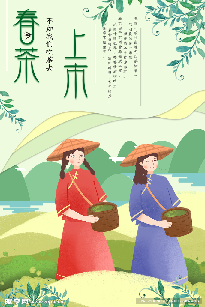 春茶上市