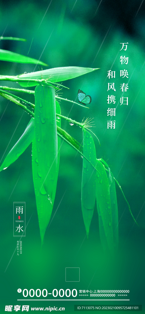 雨水