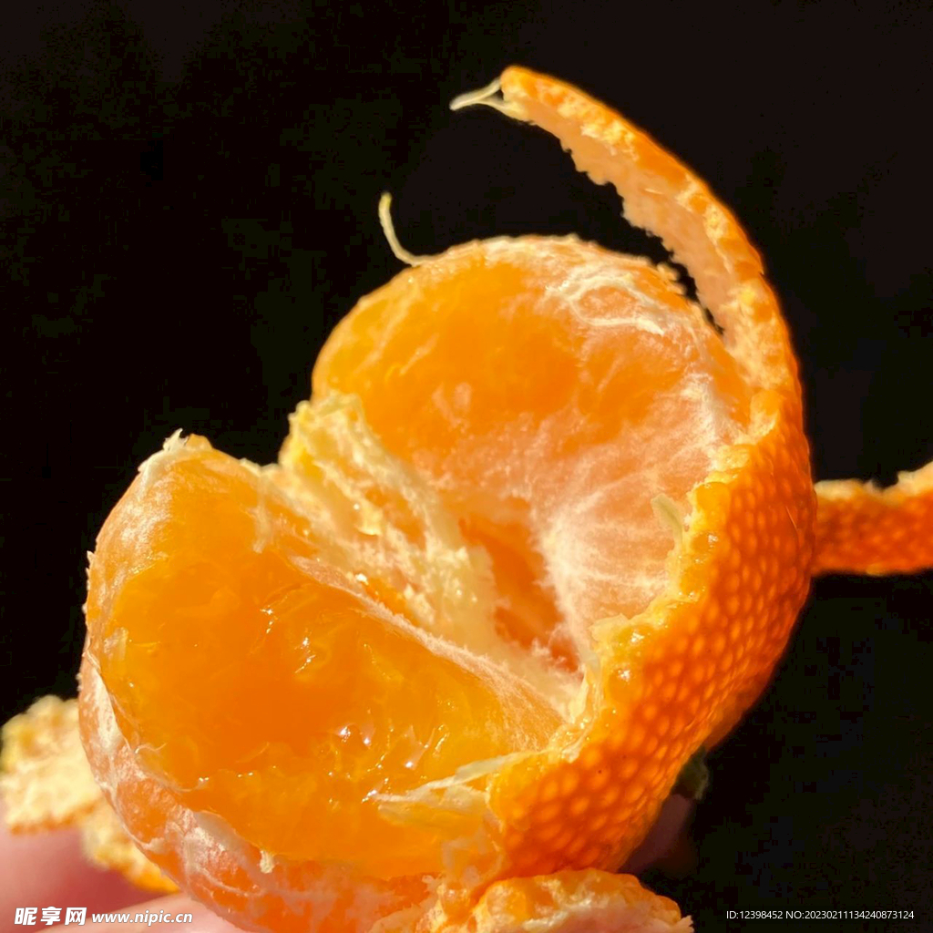 橘子