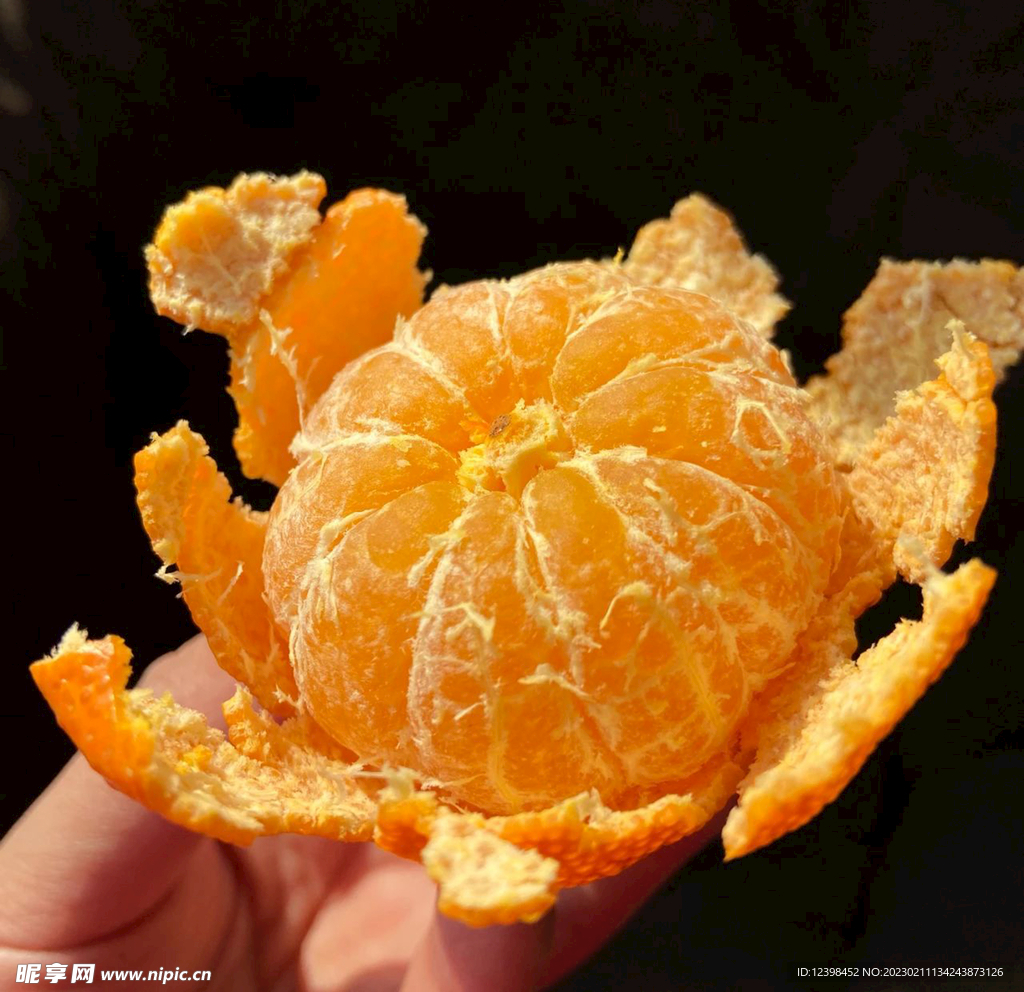 橘子