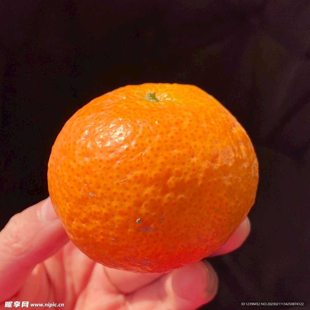 橘子