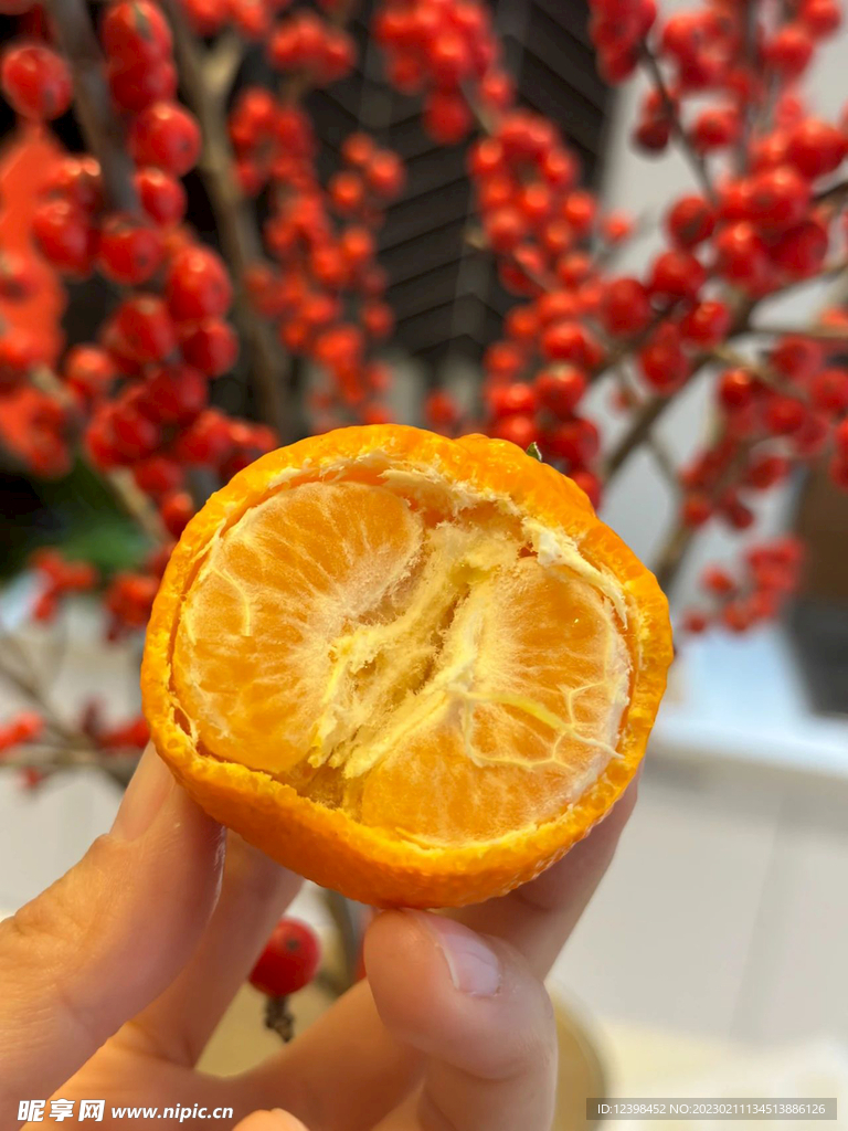 柑橘
