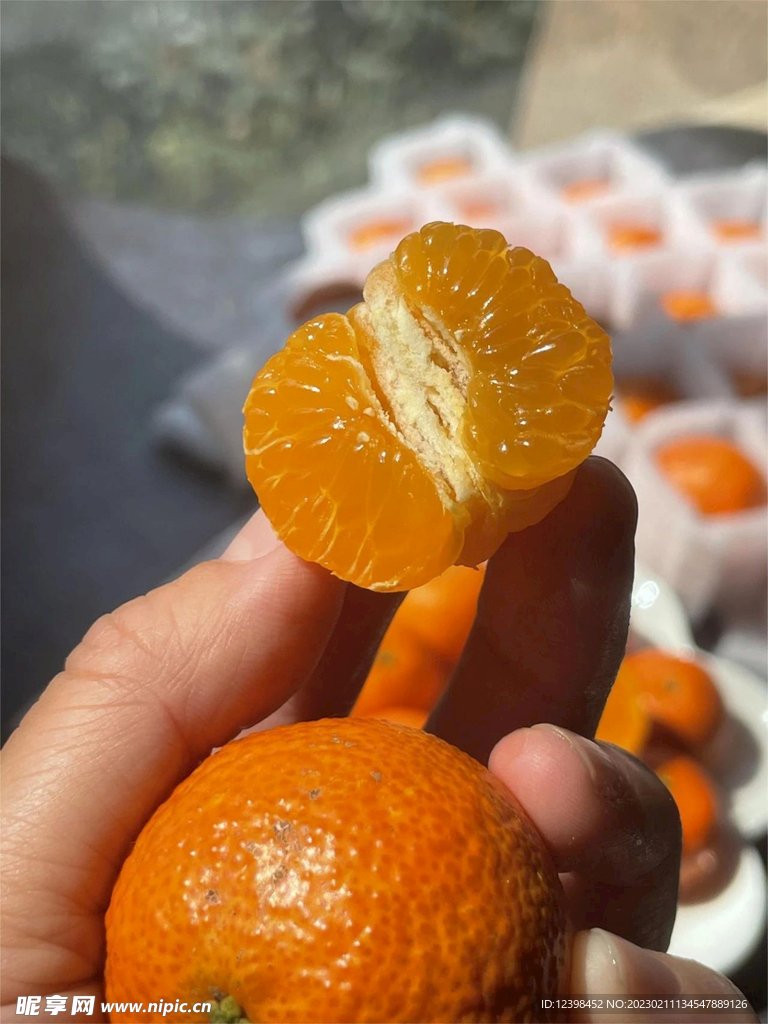 橘子