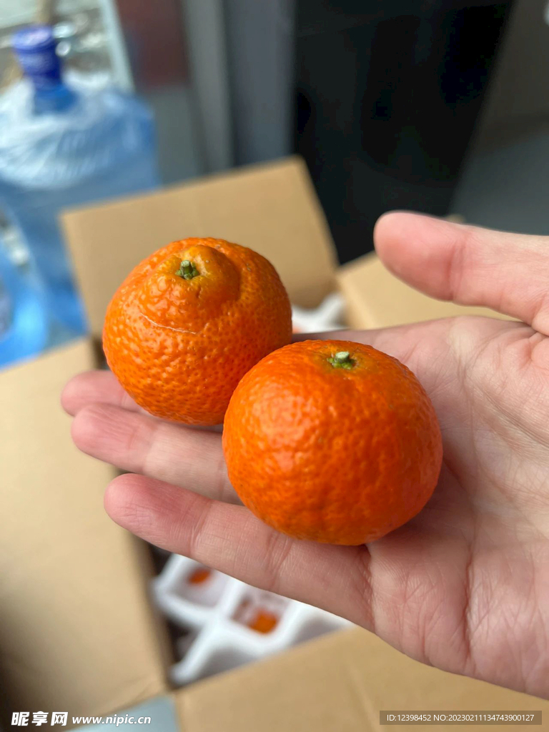 沙糖桔