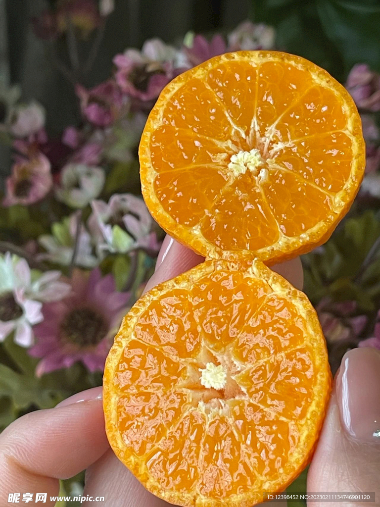 沙糖桔