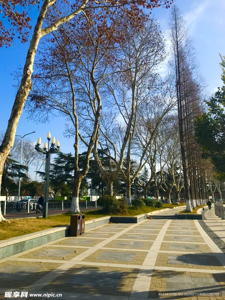 道路马路风景