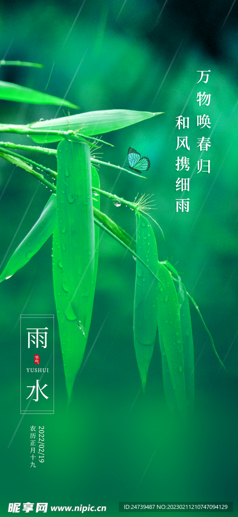 雨水