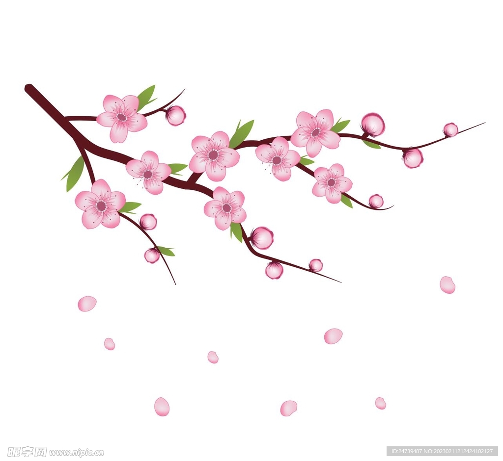 桃花
