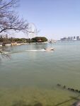 无锡蠡园