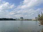 江景