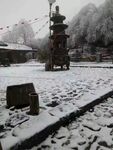 雪