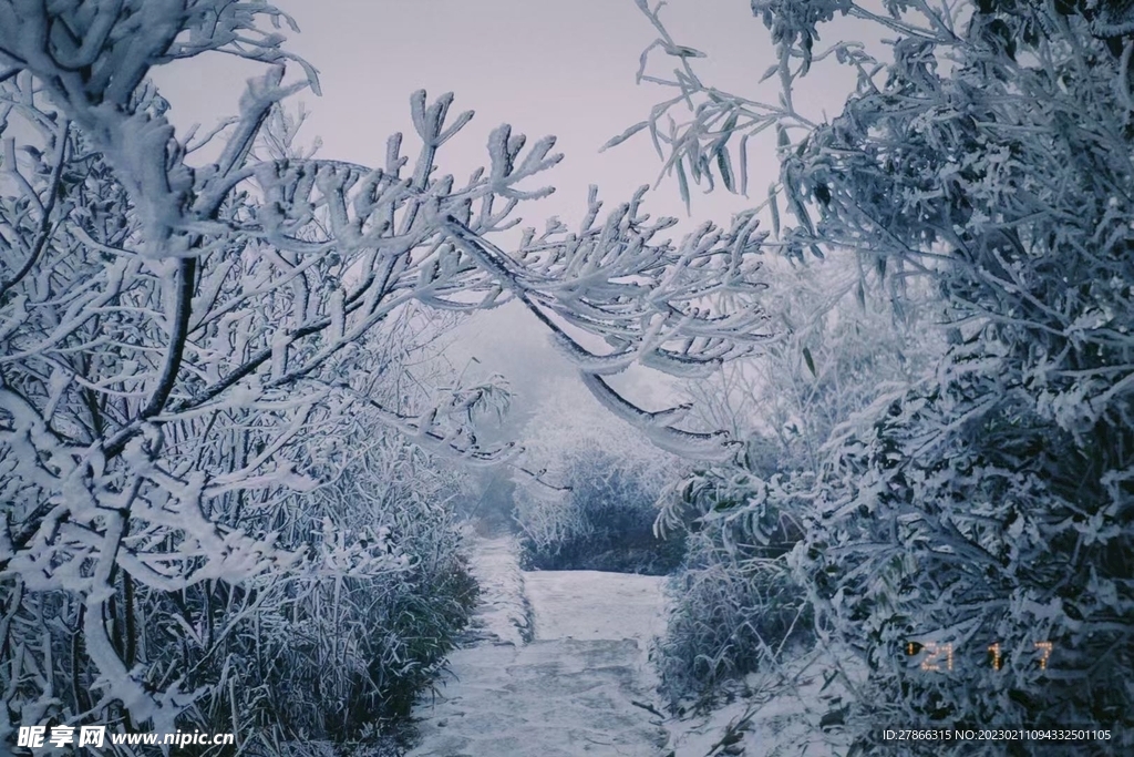 雪景