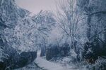 雪景