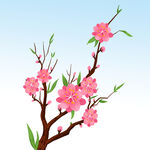  桃花 