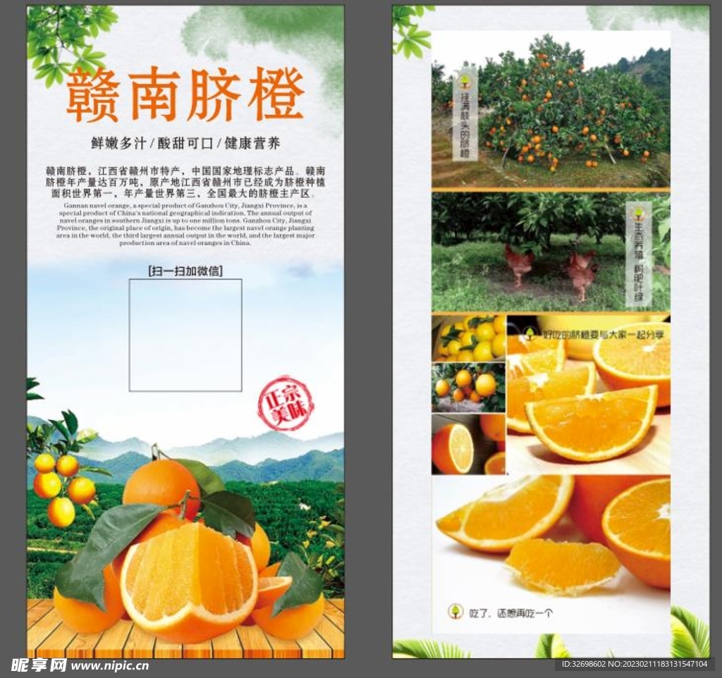 赣南济橙名片