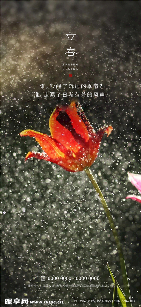 立春
