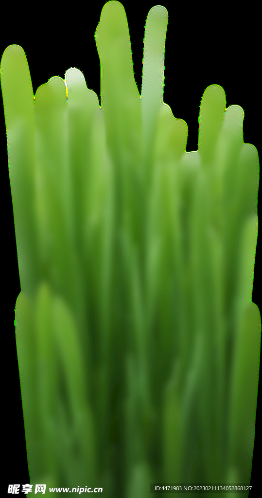 草地 