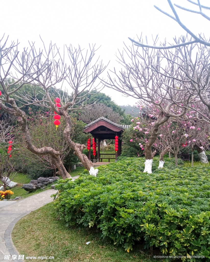 中式庭院