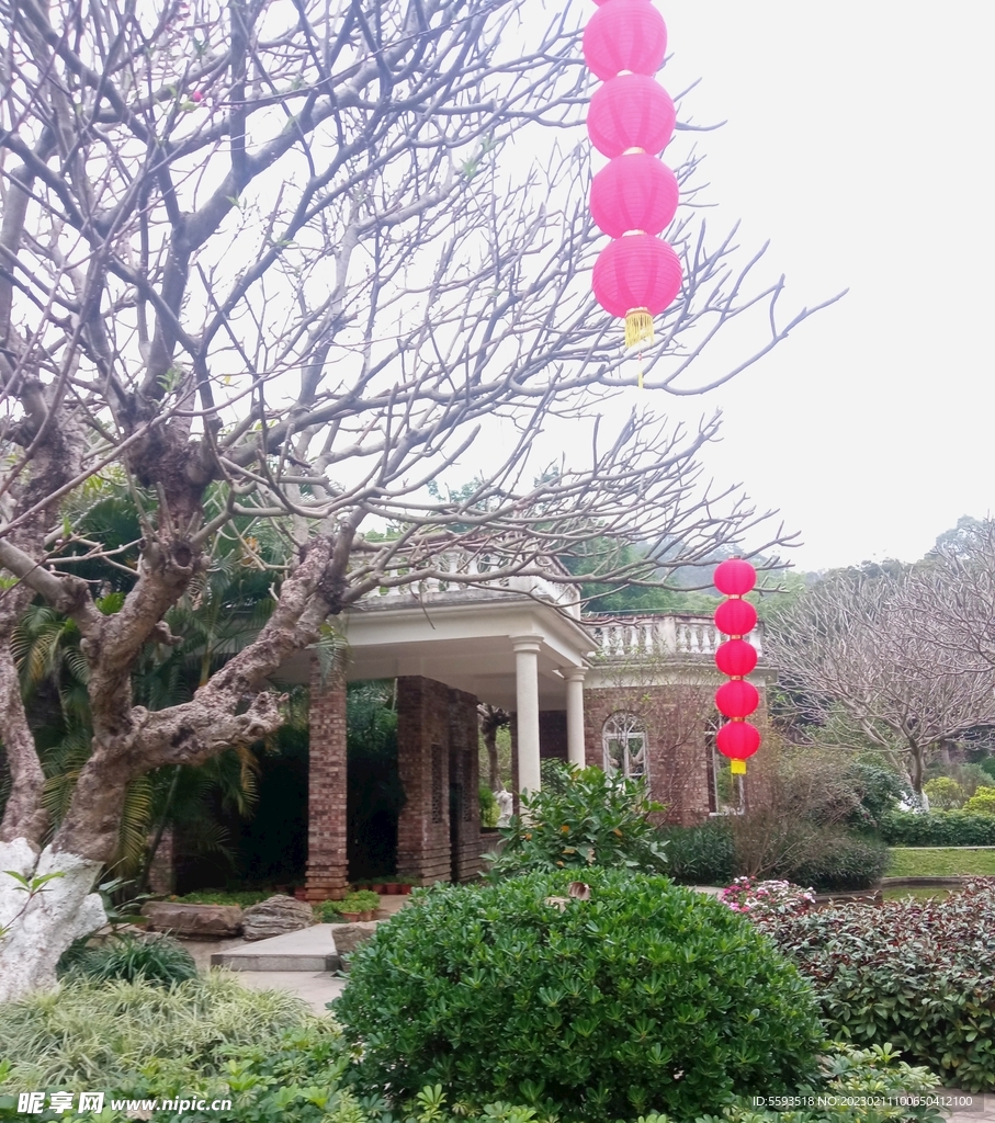 花山花海花都城