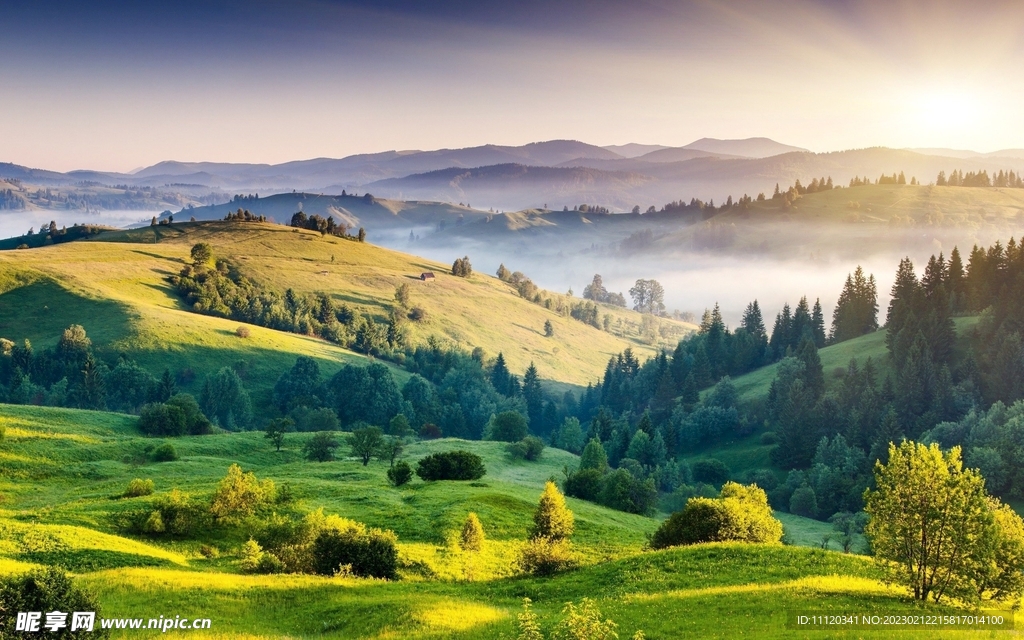 耀眼阳光下的群山树林风景