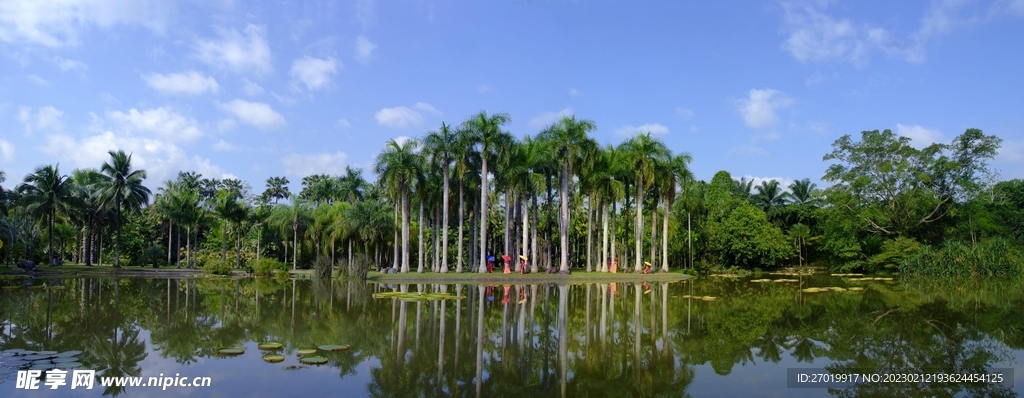 西双版纳植物园