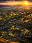 夕阳风景