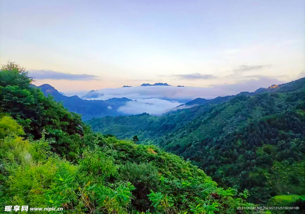 清晨大山中的云雾景观
