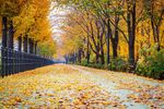 秋风过后公园道路风光