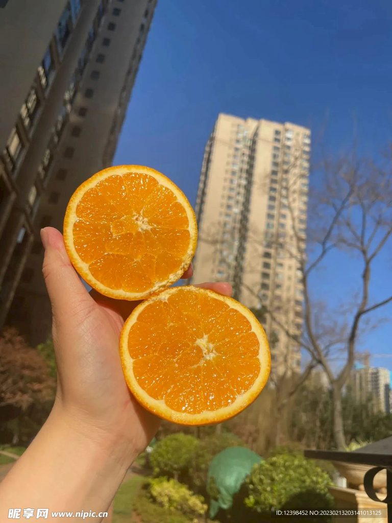 脐橙