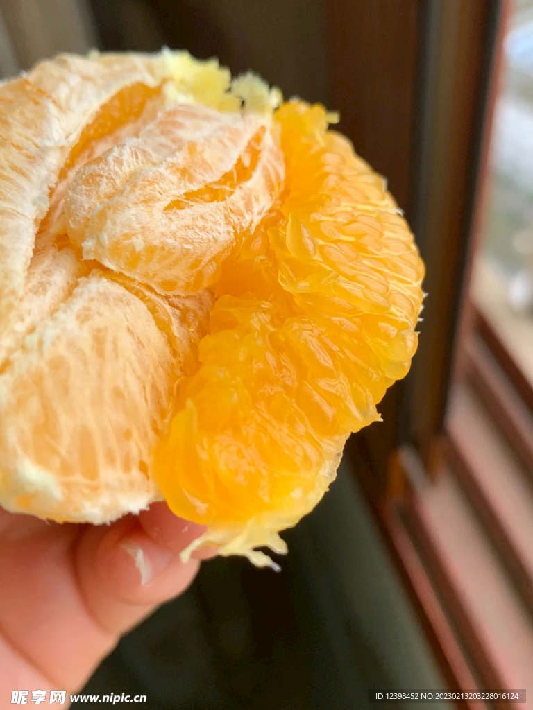 脐橙