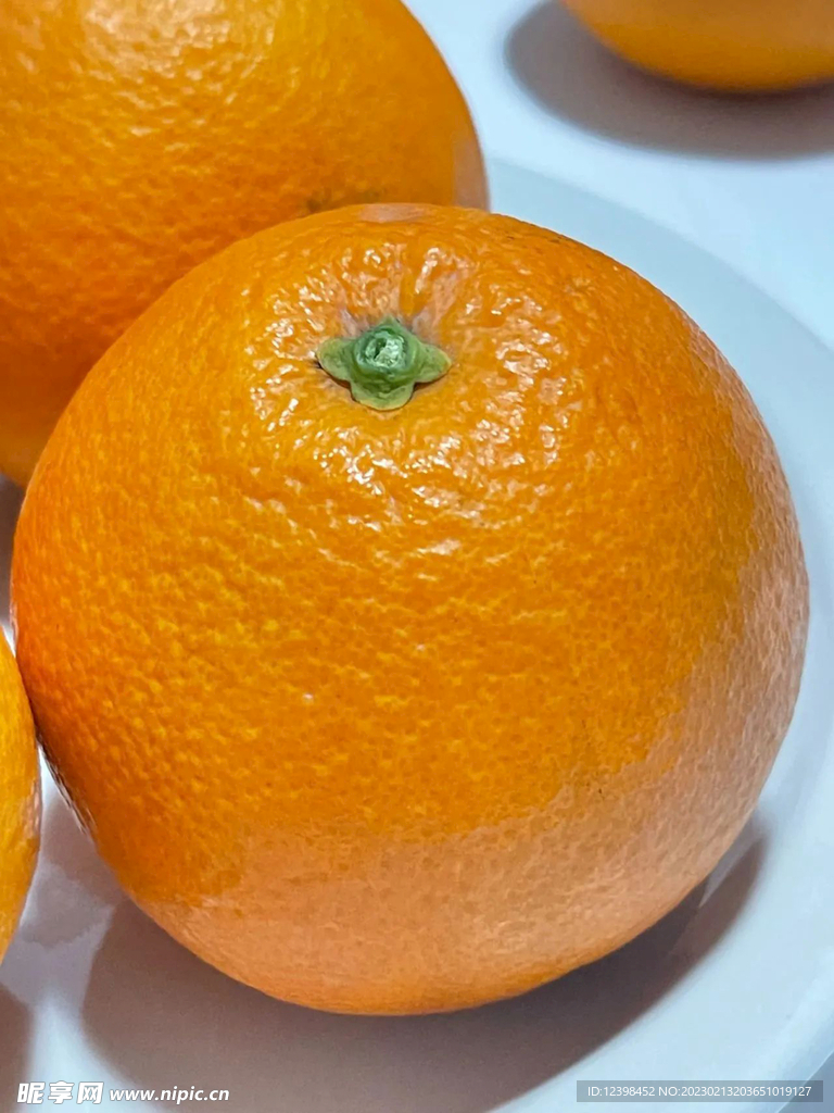 脐橙