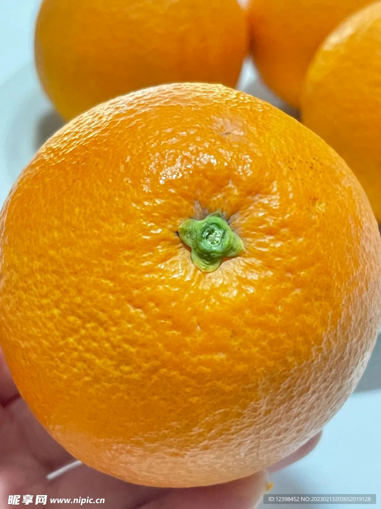 脐橙